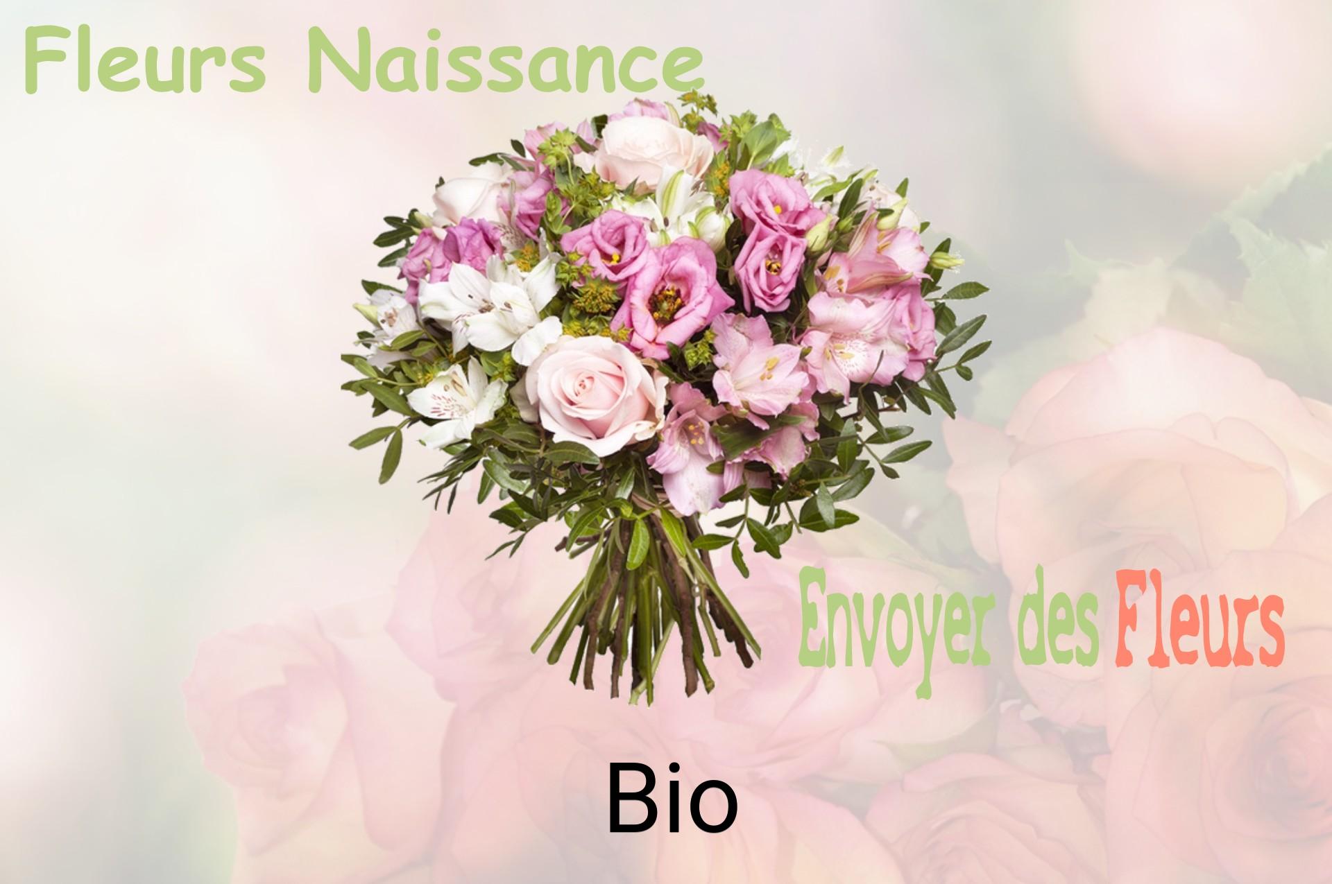 Bouquet de fleurs de naissance livré à Bio