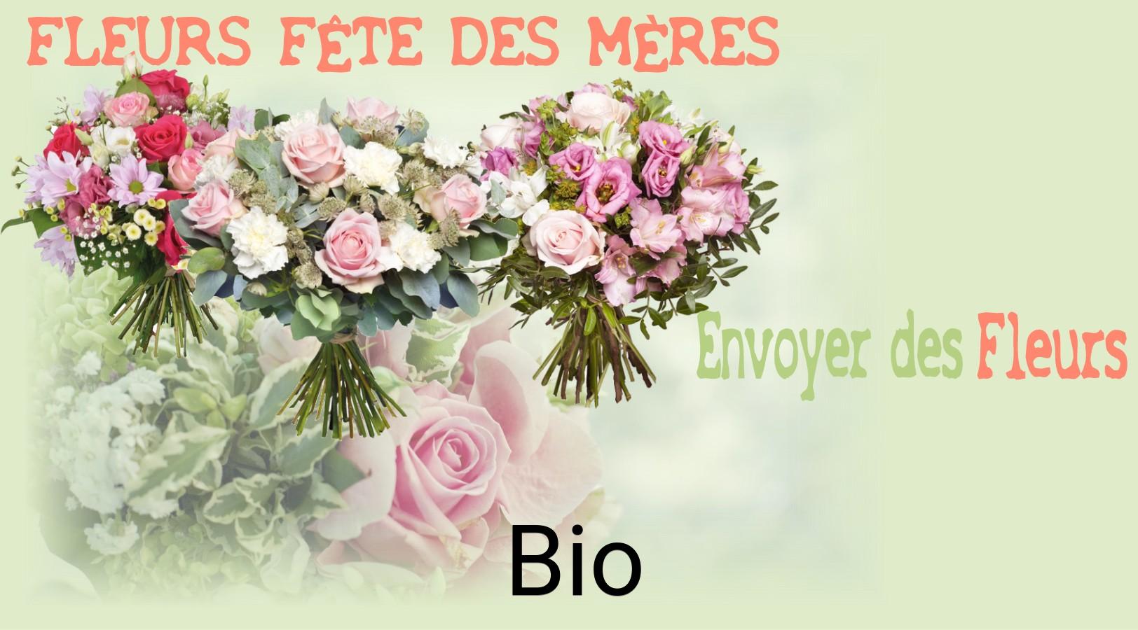 Bouquet de Fête des Mères livré à Bio